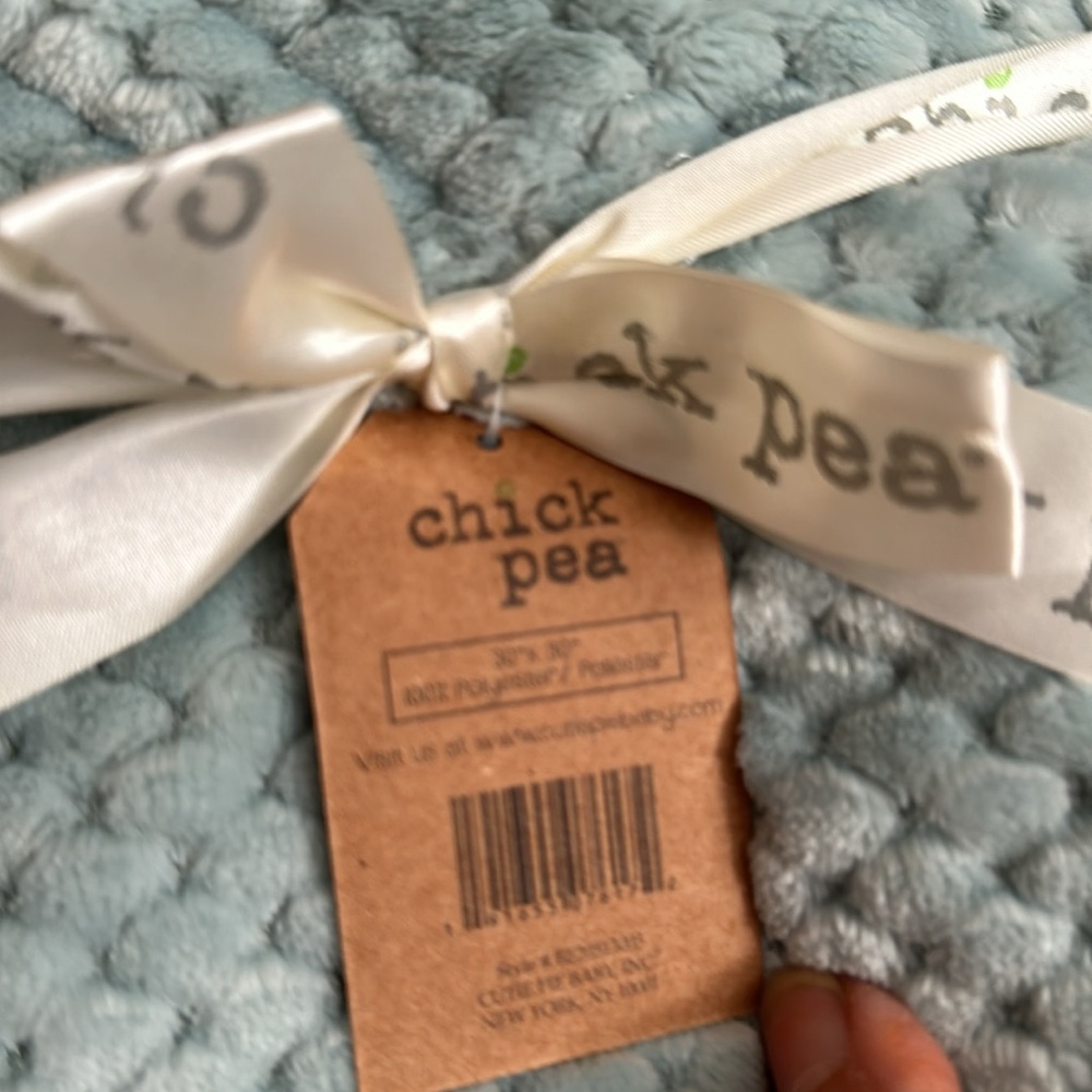 Chick Pea Super Soft Light Blue Gray Baby Blanket Lovey 30 x 30 New - Picture 5 of 6